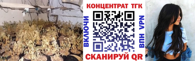 shop Telegram  MEGA ONION  Энгельс  Дистиллят ТГК концентрат 