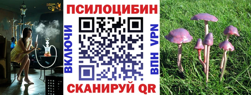 как найти наркотики  Энгельс  Галлюциногенные грибы Psilocybe 